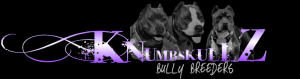 UKCRegBluePitBullPuppies